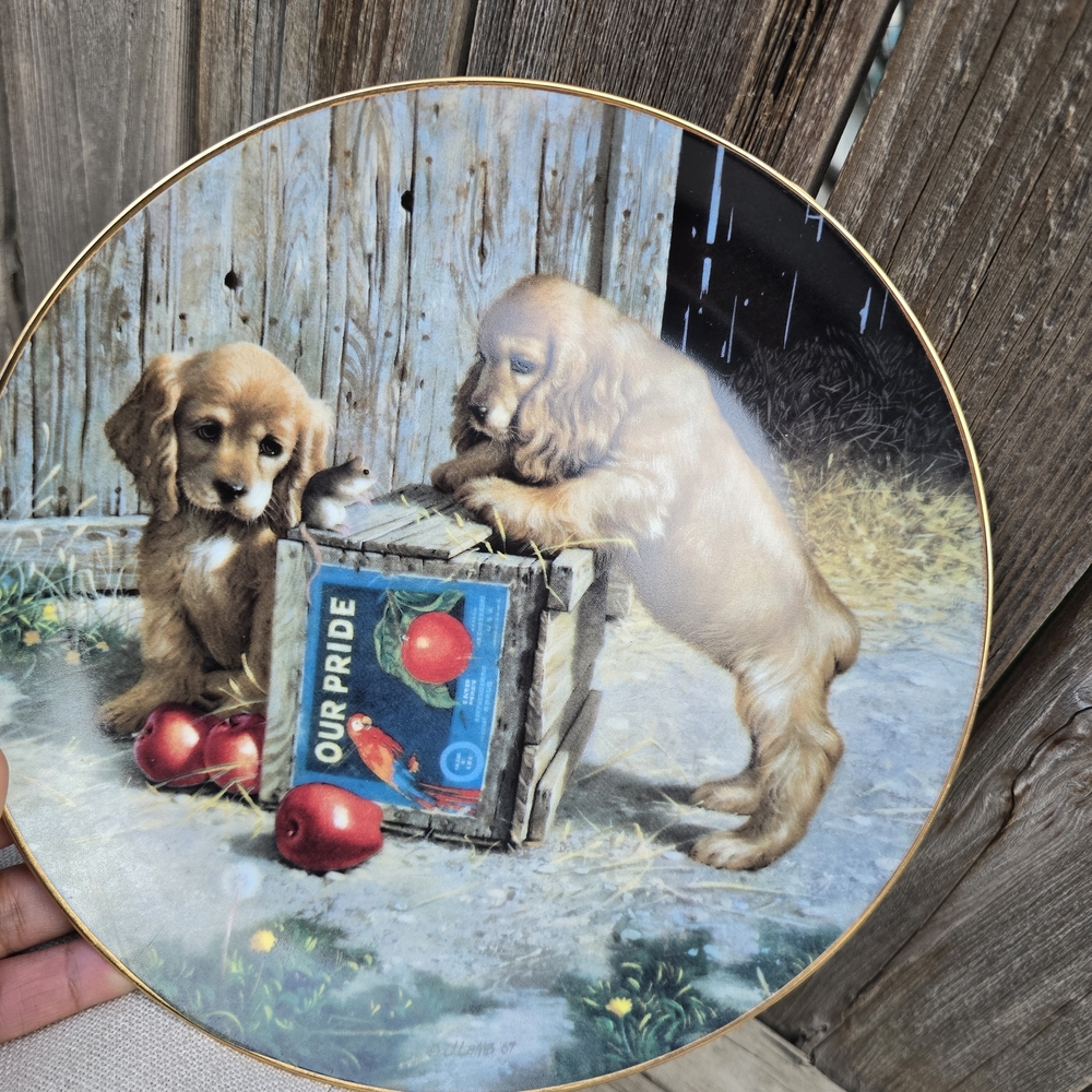 Vintage Collectors Decorative Plate with Puppies and Apples - Picture 2 of 4